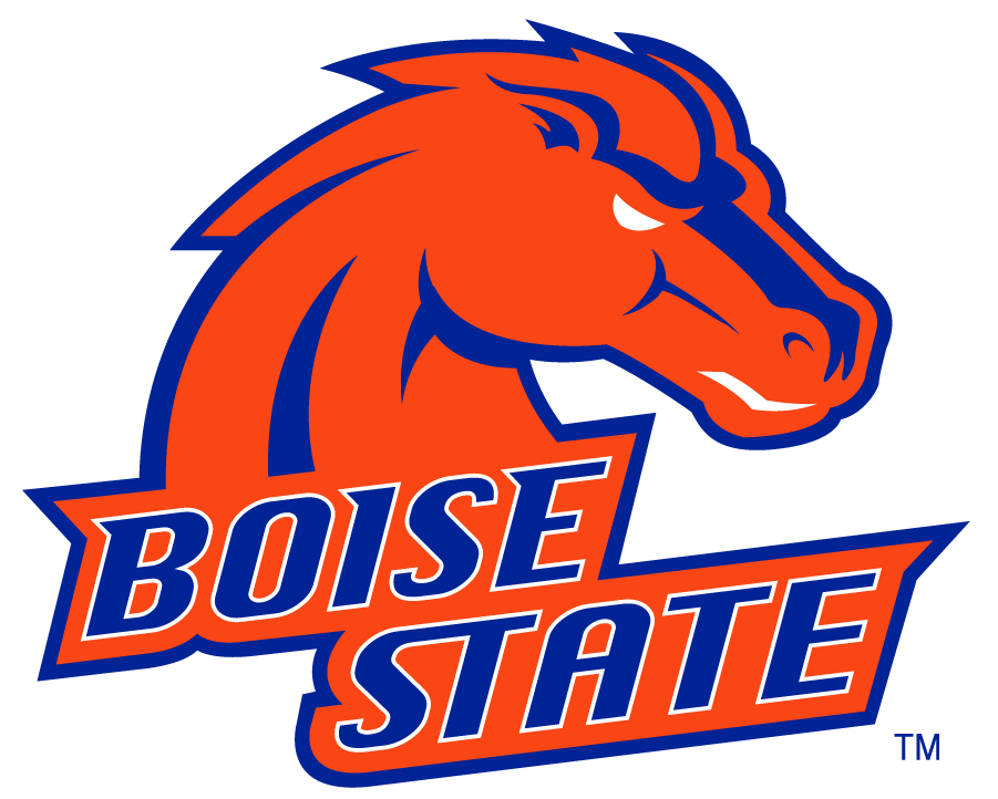 Boise State Broncos 2002-2012 Alternate Logo v4 iron on transfers for clothing